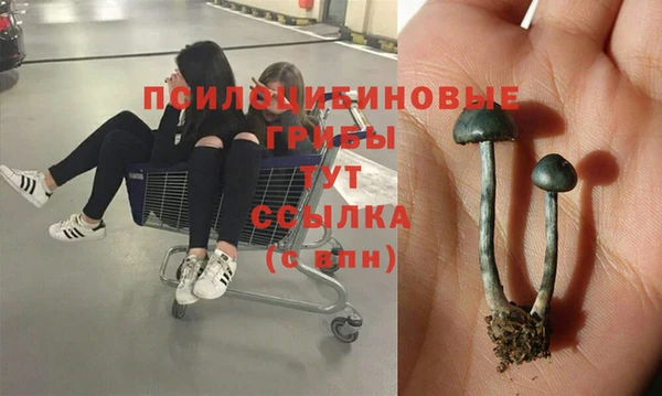 марки nbome Балабаново