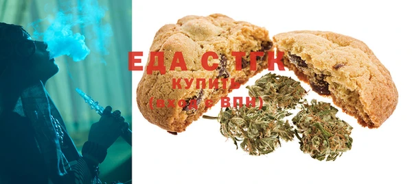 гашик Няндома