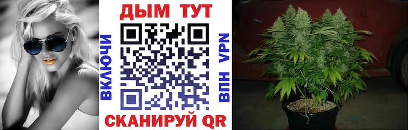цена наркотик  Кумертау  Каннабис Amnesia 